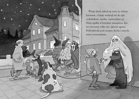 Nelly Rapp i czarownicy z Wittenbergi. Martin Widmark