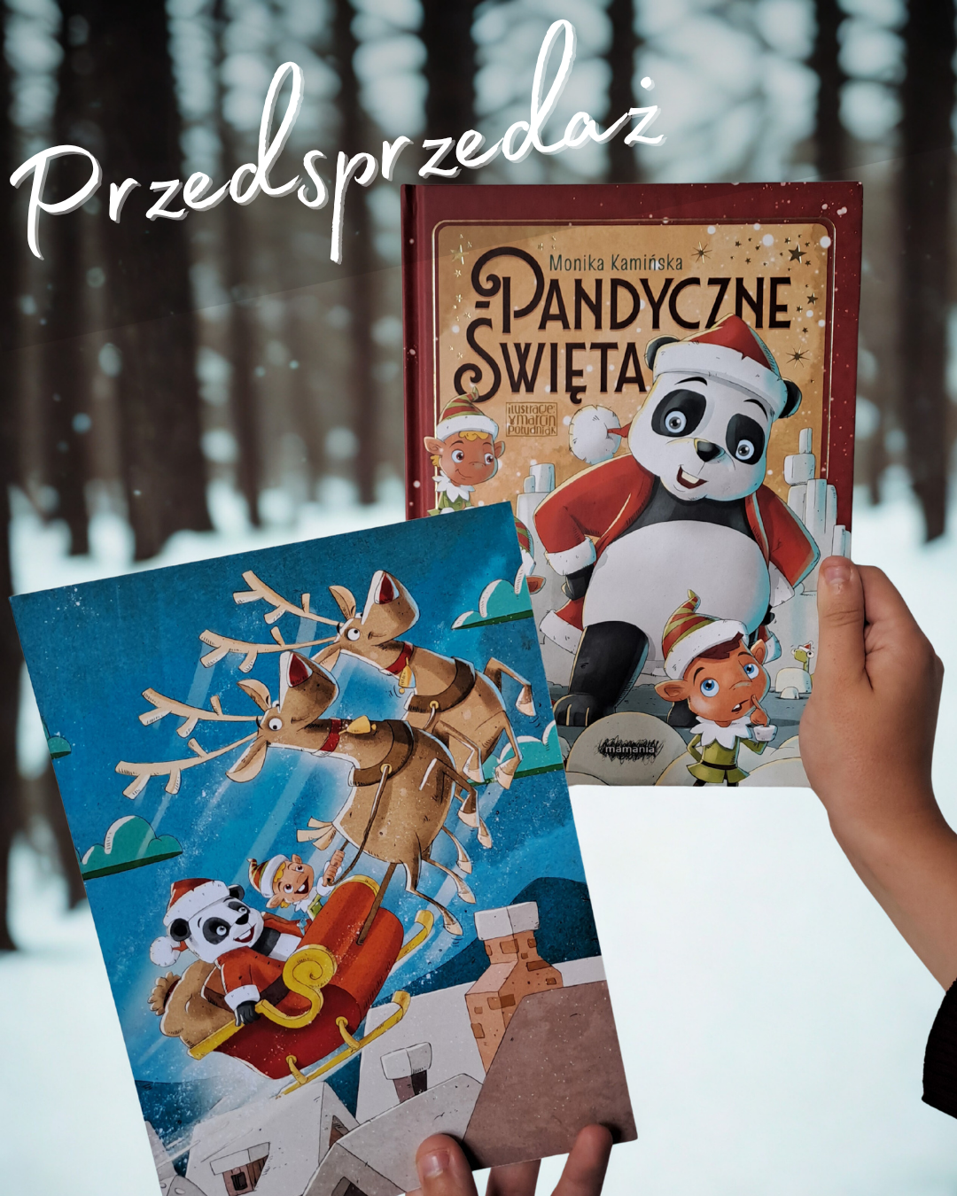 Zapowiedź. Pandyczne święta. Monika Kamińska Przedsprzedaz_Pandyczne_Swieta