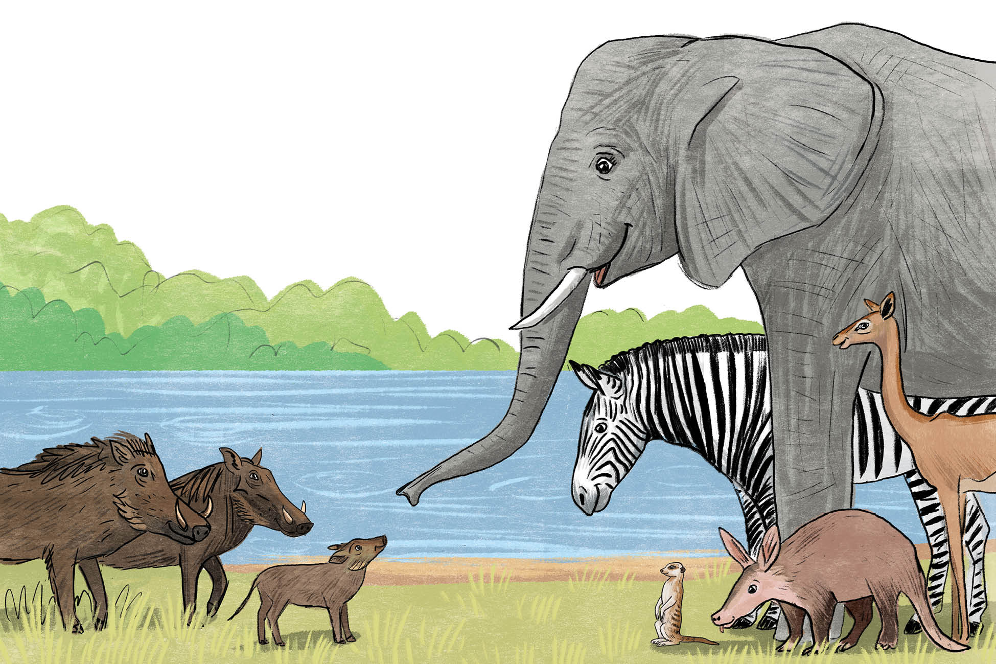 Zapowiedź. Kraina neuroróżnorodności. Bajki i ćwiczenia, które doceniają różnice i wzmacniają poczucie wspólnoty Kraina_neuroroznorodnosci_rozkladowki7