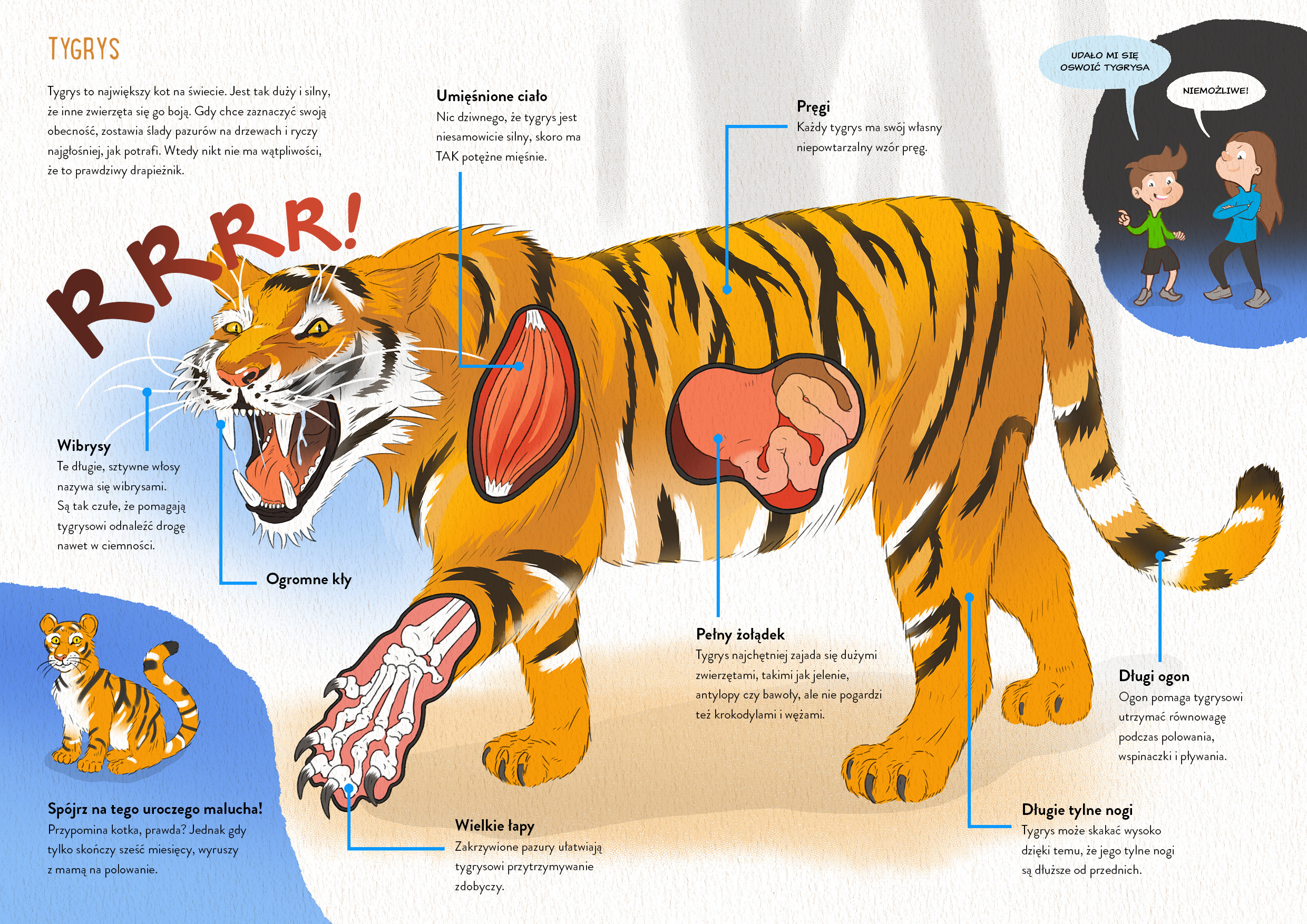 Zapowiedź. Mocarne zwierzęta. Line Halsnes Mocarne_zwierzeta_rozkladowki2