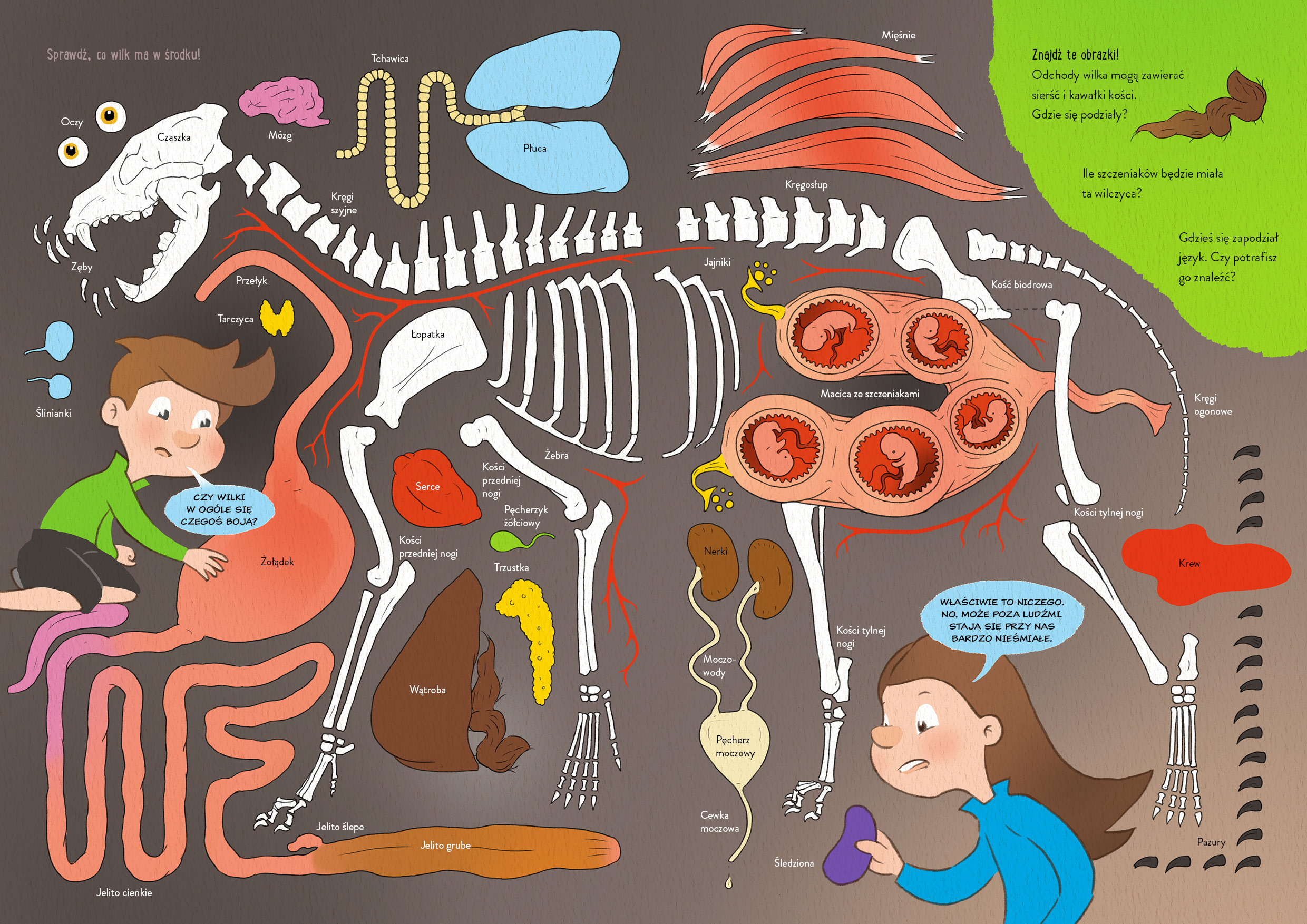 Zapowiedź. Mocarne zwierzęta. Line Halsnes Mocarne_zwierzeta_rozkladowki4