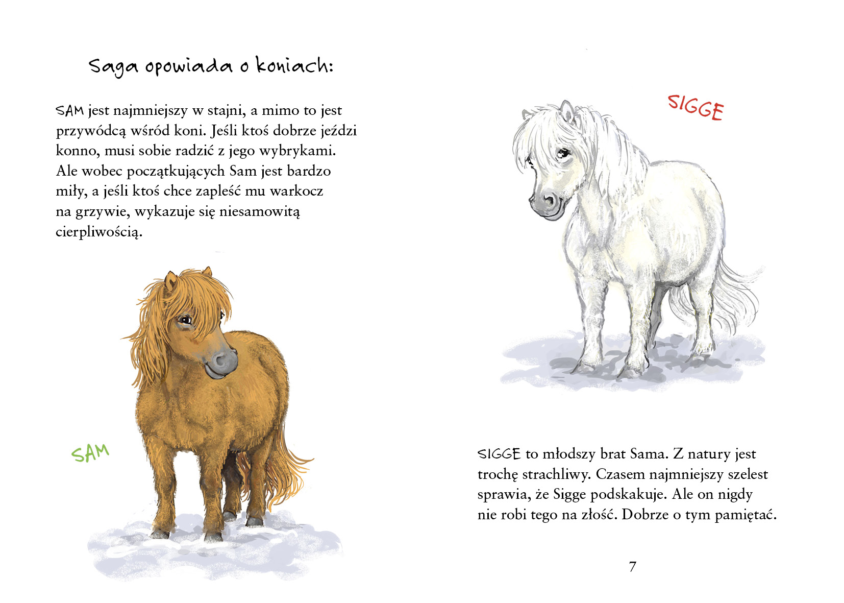 Zapowiedź. Sigge i przyjaciele ze stajni. Zimowe przygody. Lin Hallberg Sigge_i_przyjaciele_ze_stajni._Zimowe_przygody_rozkladowki