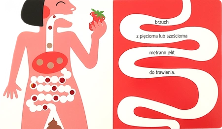 Nasze ciało. Hector Dexet