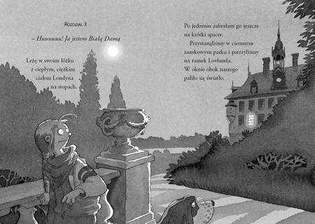 OUTLET Nelly Rapp i białe damy. Martin Widmark