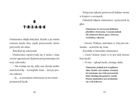 Magiczny domek na drzewie. Nurkowanie z delfinami