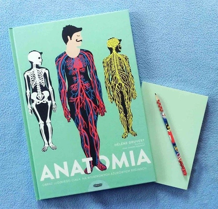 OUTLET Anatomia. Obraz ludzkiego ciała na wyjątkowych ażurowych rycinach. Helene Druvert