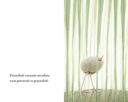 Dla tych, którzy chcą latać. Pirkko Vainio