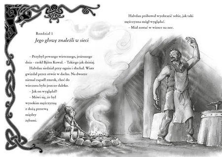 Halvdan Wiking. Grób obcego. Martin Widmark