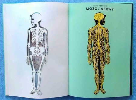 OUTLET Anatomia. Obraz ludzkiego ciała na wyjątkowych ażurowych rycinach. Helene Druvert