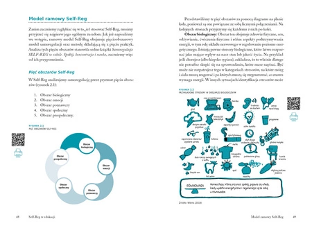 OUTLET Self-Reg w edukacji. Przewodnik dla nauczycieli, pedagogów i psychologów szkolnych. Stuart Shanker