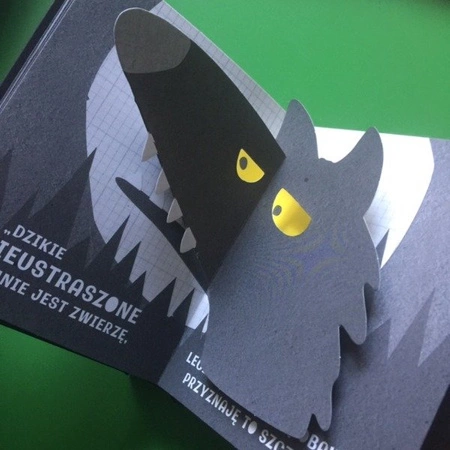 Kto się kryje w lesie? Eryl Norris, Andy Mansfield