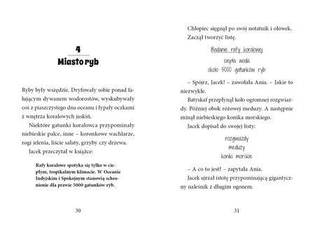 OUTLET Magiczny domek na drzewie. Nurkowanie z delfinami