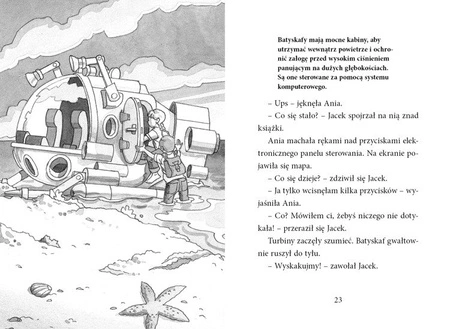 Magiczny domek na drzewie. Nurkowanie z delfinami