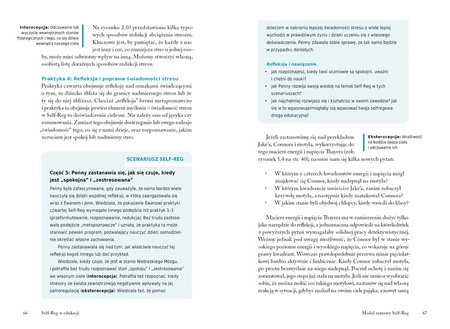 OUTLET Self-Reg w edukacji. Przewodnik dla nauczycieli, pedagogów i psychologów szkolnych. Stuart Shanker