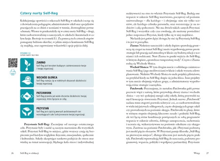 OUTLET Self-Reg w edukacji. Przewodnik dla nauczycieli, pedagogów i psychologów szkolnych. Stuart Shanker