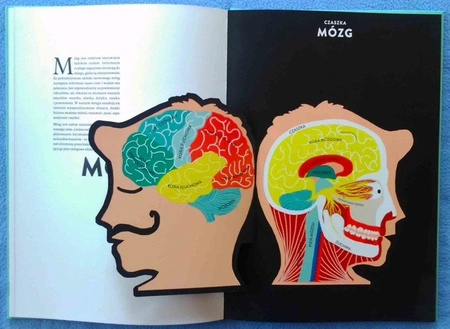 OUTLET Anatomia. Obraz ludzkiego ciała na wyjątkowych ażurowych rycinach. Helene Druvert