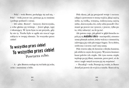 Pola i Buster. Tajemnica magicznych kamieni. Sally Rippin