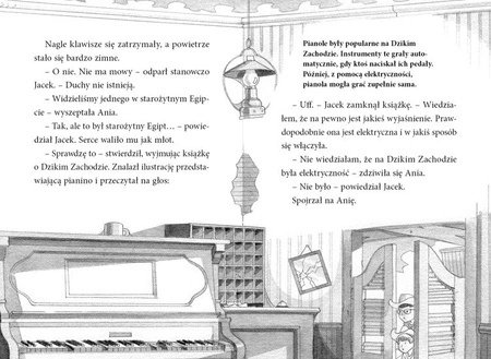 OUTLET Magiczny domek na drzewie. Słońce zachodzi w mieście duchów