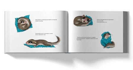 Historia małej popielicy, która nie mogła zasnąć. Sabine Bohlmann, Kerstin Schoene