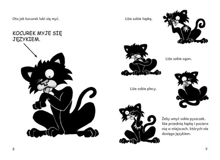 Zły Kocurek. Kąpiel. Nick Bruel